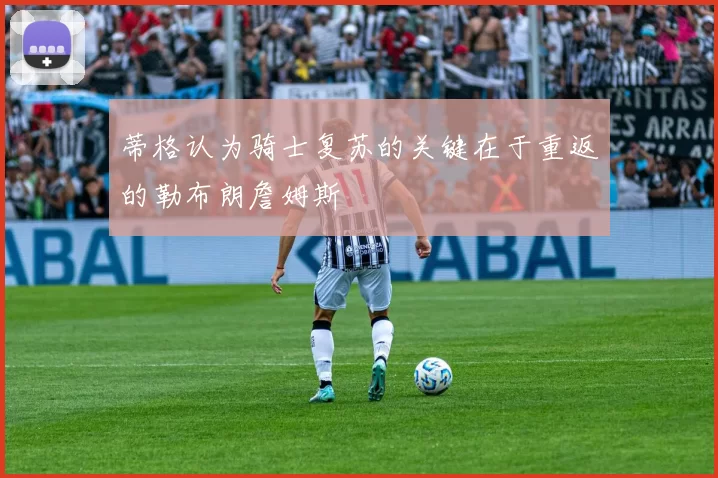 蒂格认为骑士复苏的关键在于重返的勒布朗詹姆斯